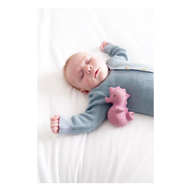 Natural Rubber Seahorse Bath Toy-product