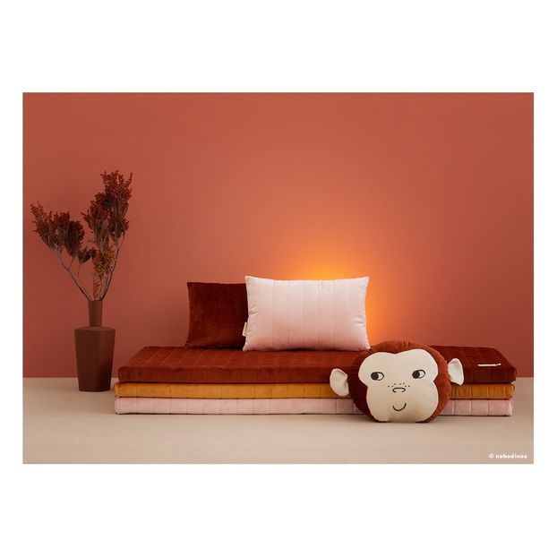 Coussin Singe-product