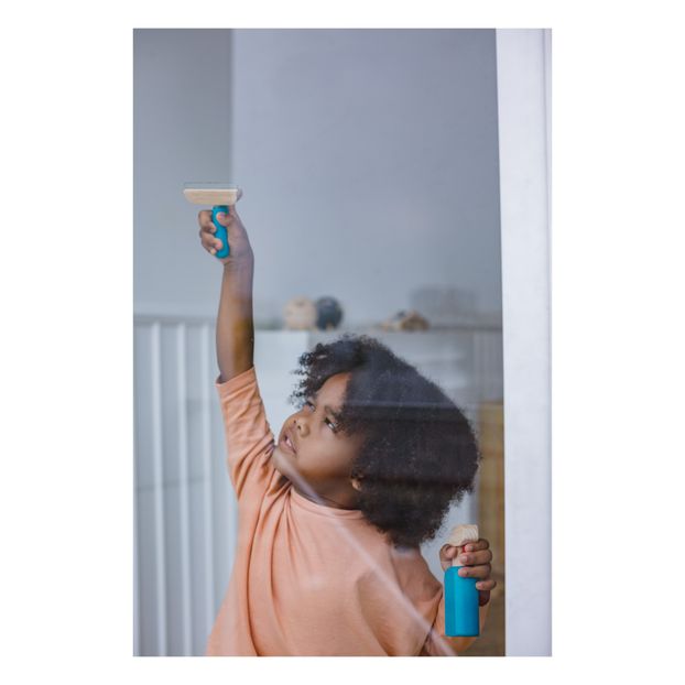 Toy Cleaning Kit-product