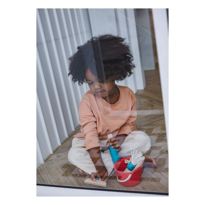 Toy Cleaning Kit- Product image n°1