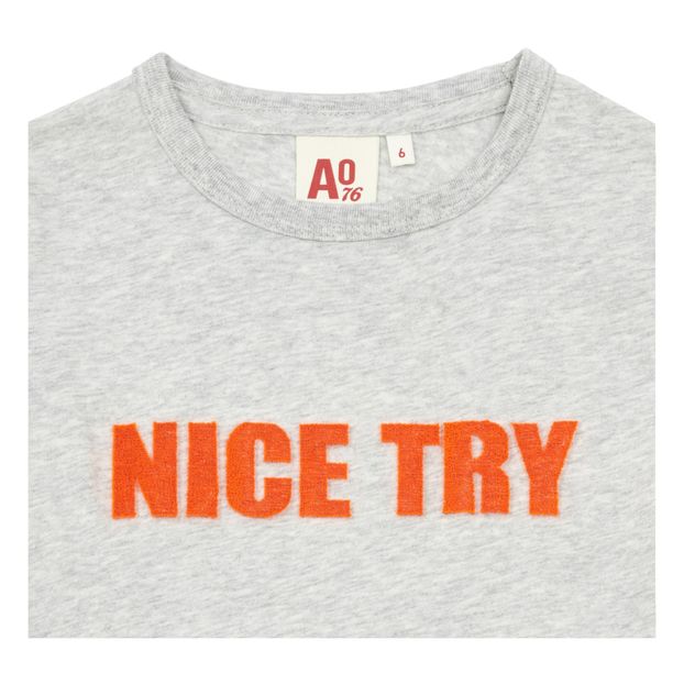 T-shirt Nice Try-product
