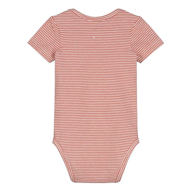 Body Coton Bio-product
