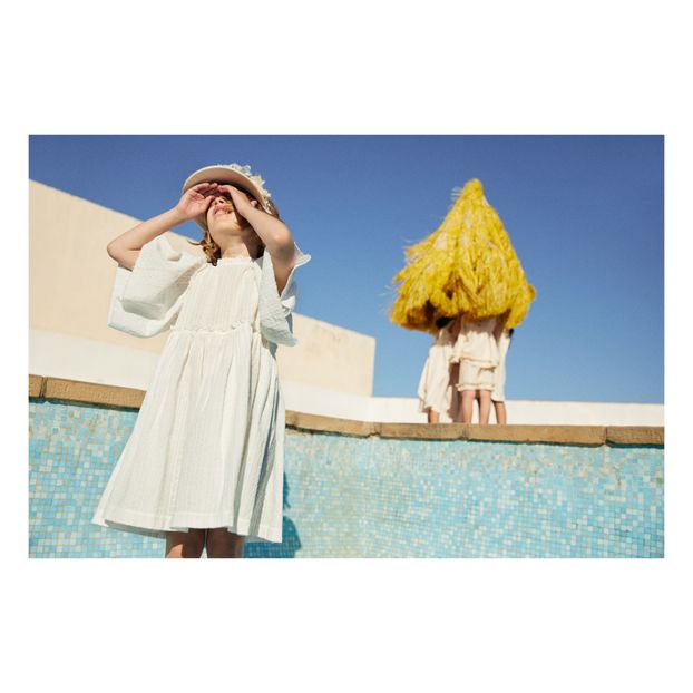 Vega Embroidered Maxi Dress-product