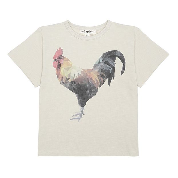 T-shirt in Cotone Bio-product