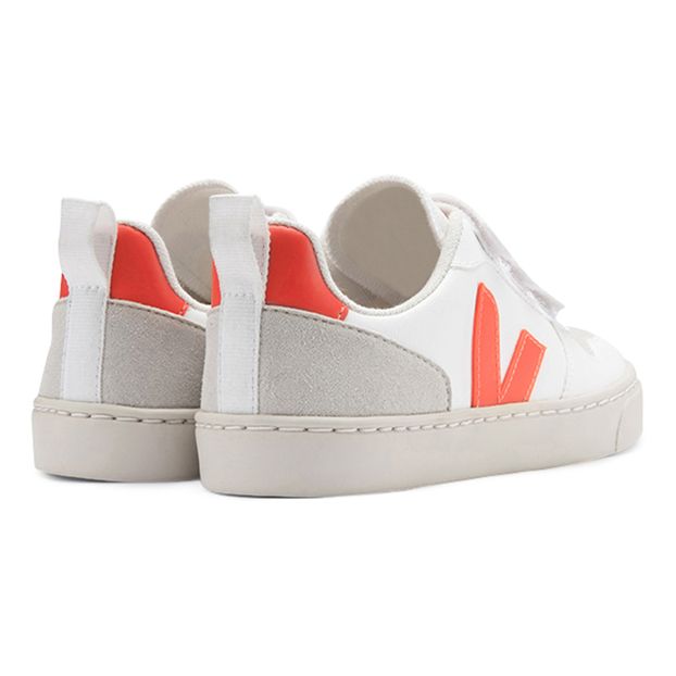Baskets Scratchs V-10 Vegan-product