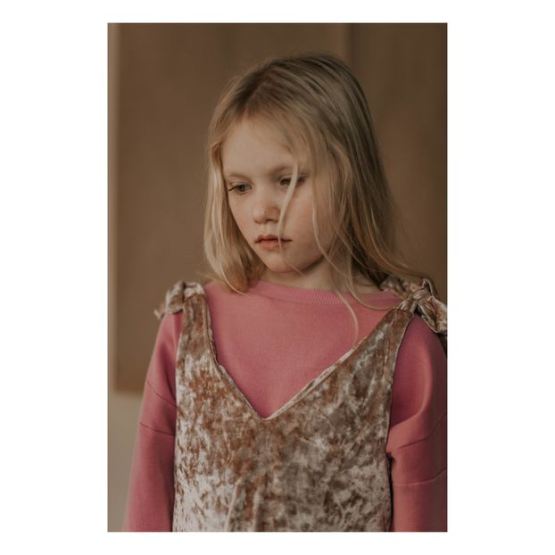 Velvet Dress-product