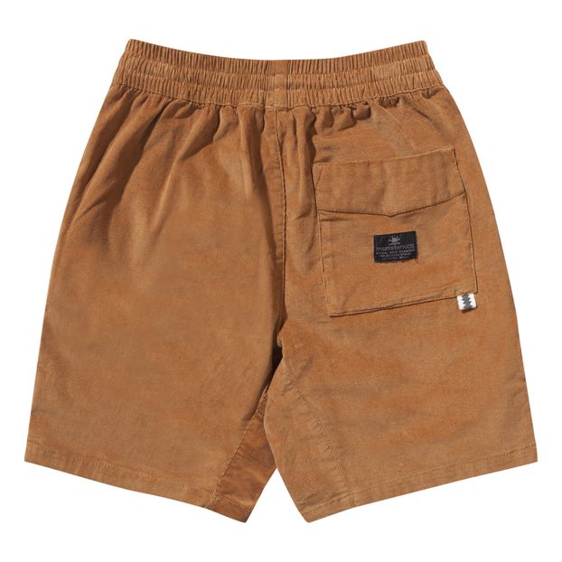 Beat Up shorts-product