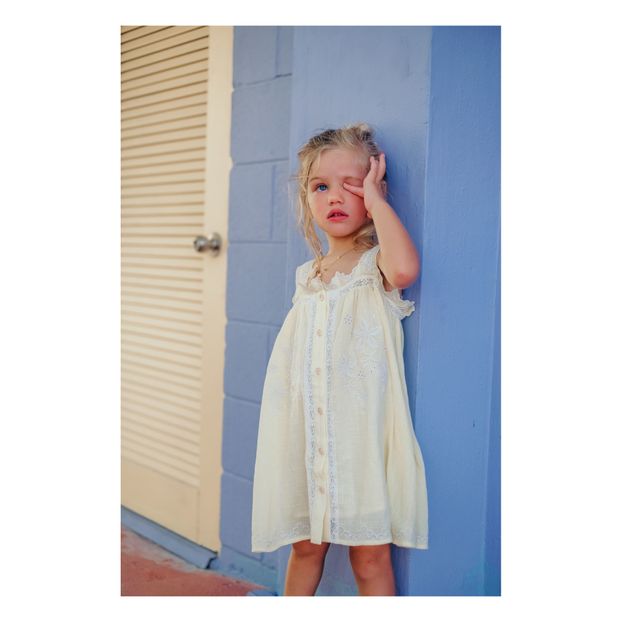 Lucida dress-product