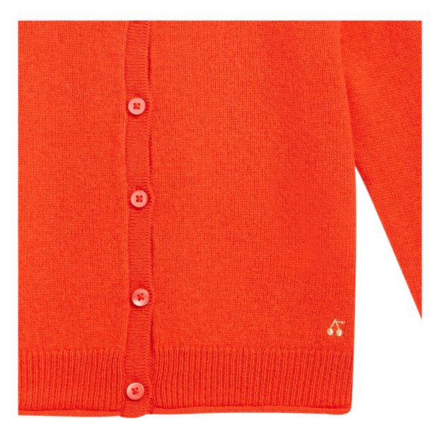 Cardigan Cachemire-product
