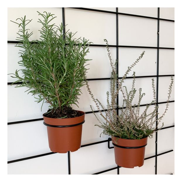 Porta macetas 11 cm-product