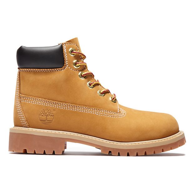 Boots Suède 6In Premium-product