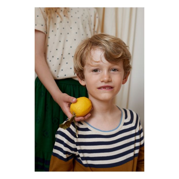 Extra Fine Organic Cotton Jumper-product