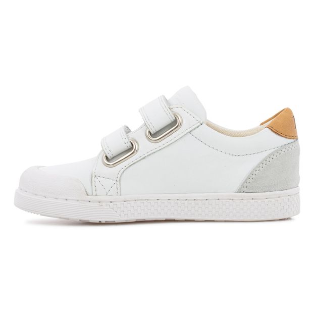 Baskets Scratchs Win Clay Cuir Coton Bio-product