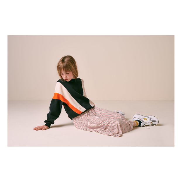 Sweat Tricolore Vanka-product
