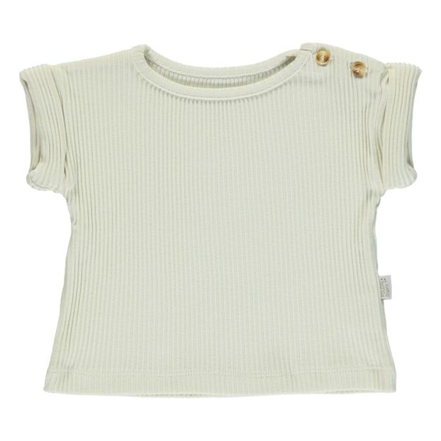 Borage ribbed jersey leggings-product