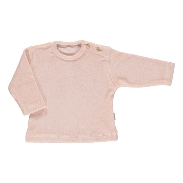 Sweat Estragon Eponge-product