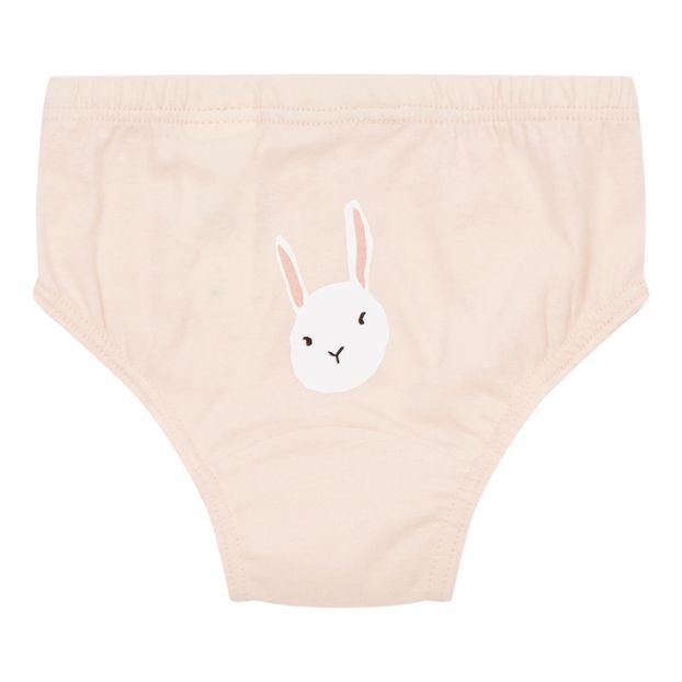Rabbit briefs-product