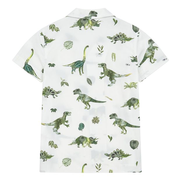 Andio Shirt-product