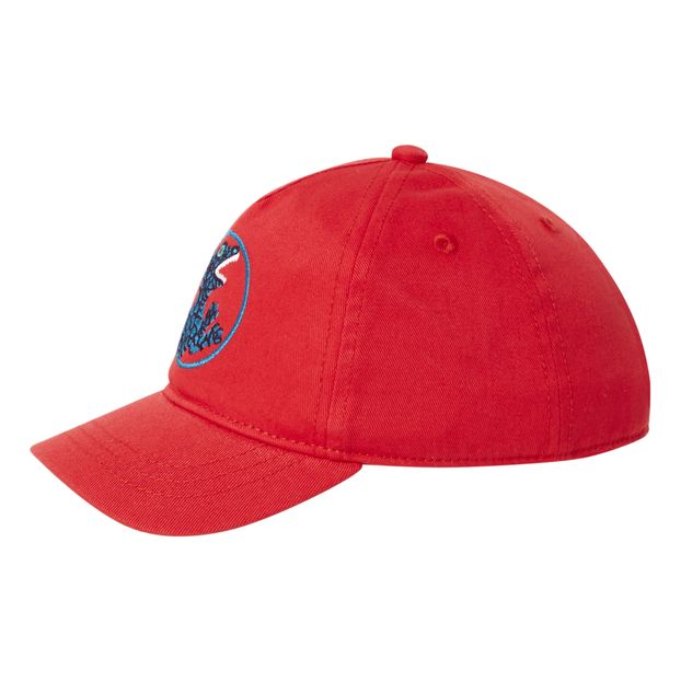 Dino Cap-product