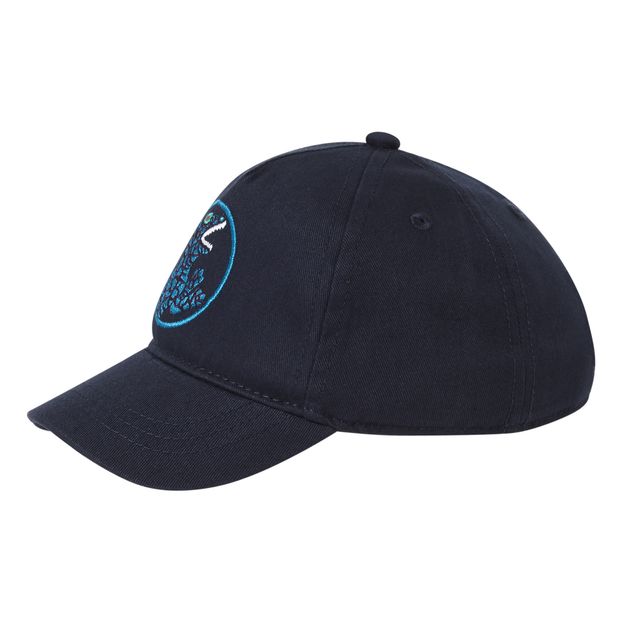 Dino Cap-product