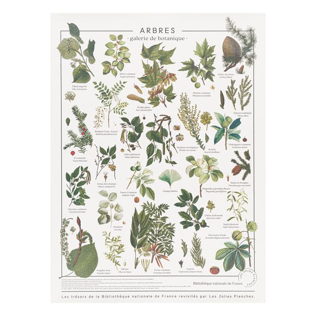 Tree print 60x80 cm-product