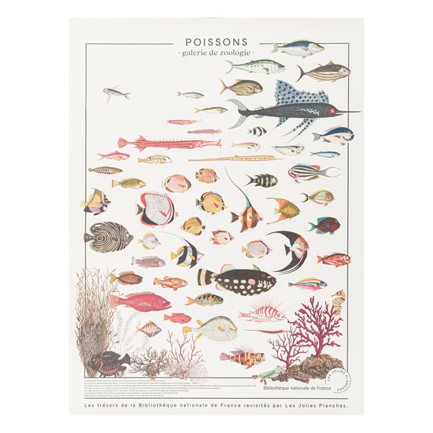 Fish print 60x80 cm-product