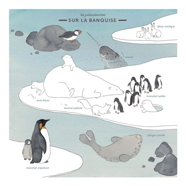 Mini Wild Animal Boards and Masking Tape - Set of 4-product