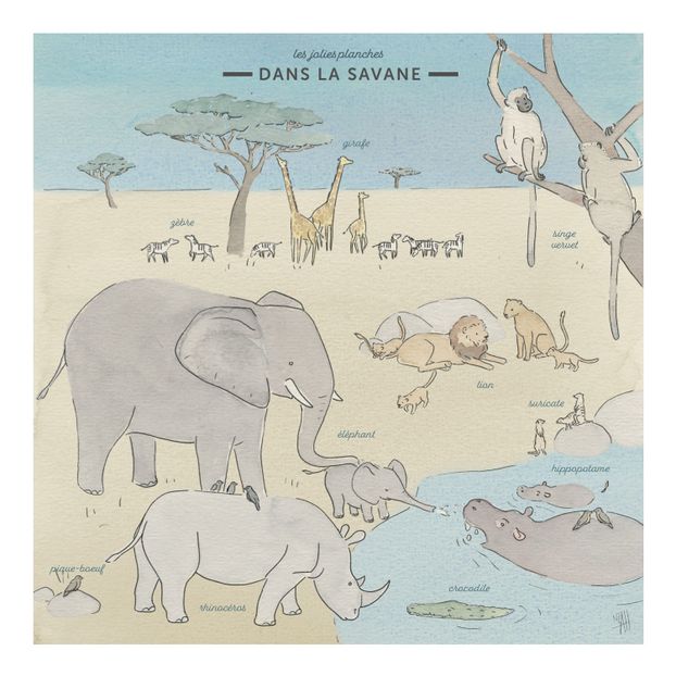Mini Wild Animal Boards and Masking Tape - Set of 4-product
