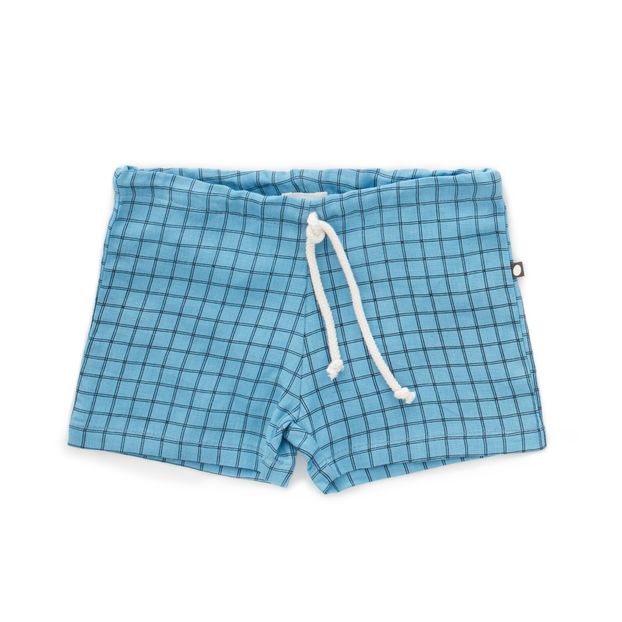 Swim shorts-product