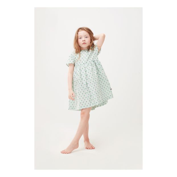 Leek linen dress-product