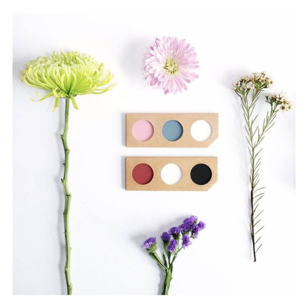 Kit pittura viso bio Pirata & Coccinella -product
