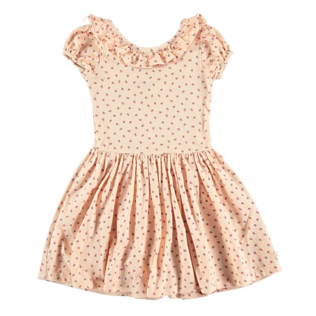 Robe Jersey Coton Bio Fraises-product