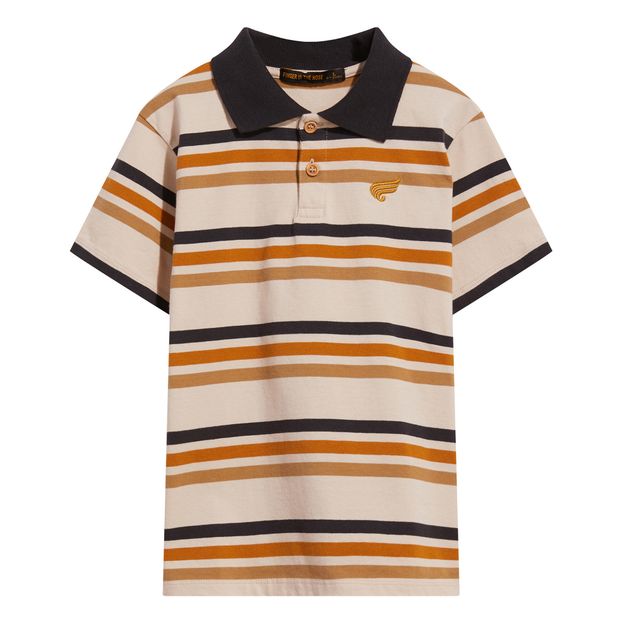 Polo Rayas Tommy-product