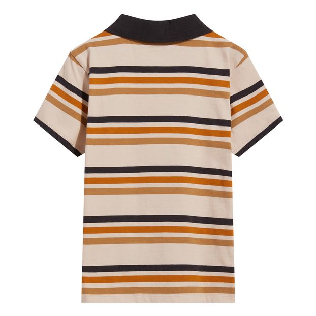 Polo Rayas Tommy-product