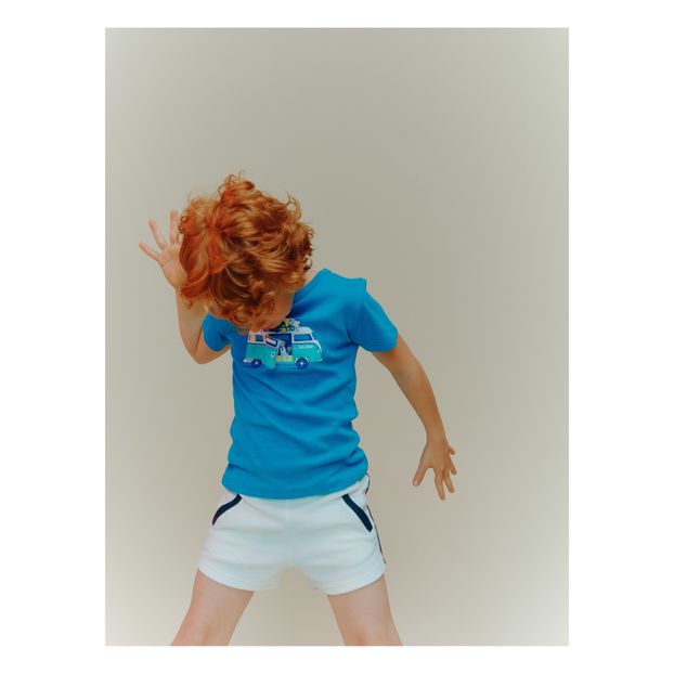 Holiday van t-shirt-product