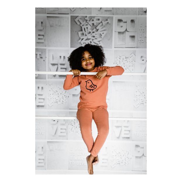 Pantalon Jersey Coton Bartho-product