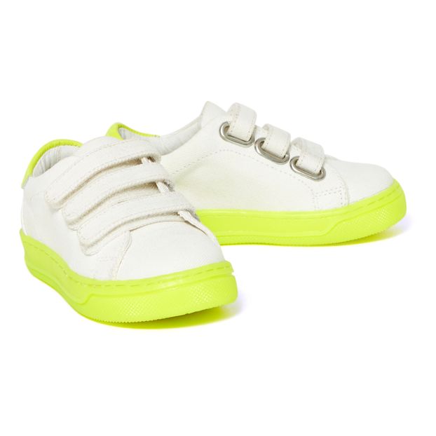 Baskets Fluo-product