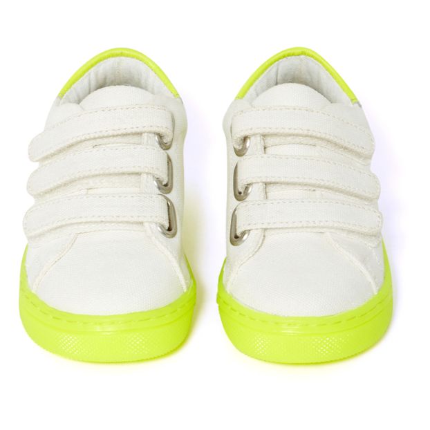 Baskets Fluo-product