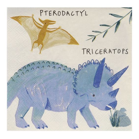 Dinosaur Paper Napkins - Set of 16-product