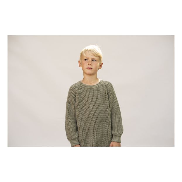 Pull Coton Bio Hiro-product