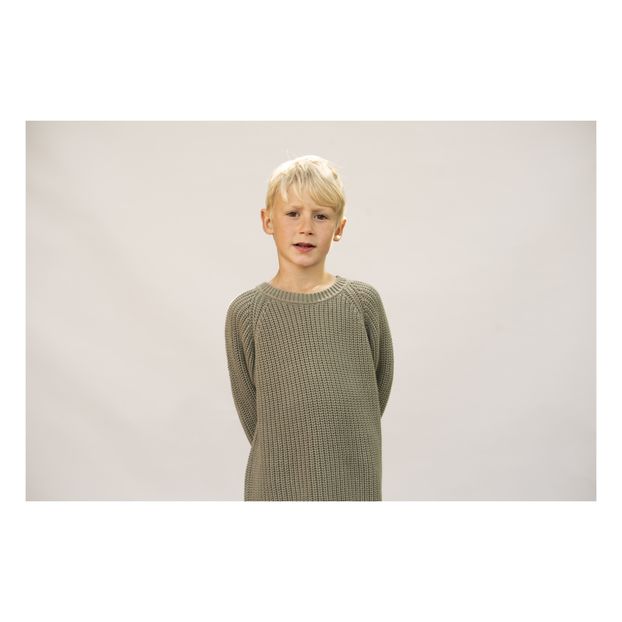 Pull Coton Bio Hiro-product