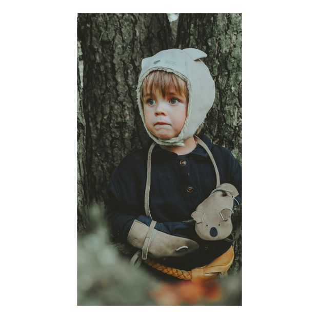 Kapi Lion Mittens -product
