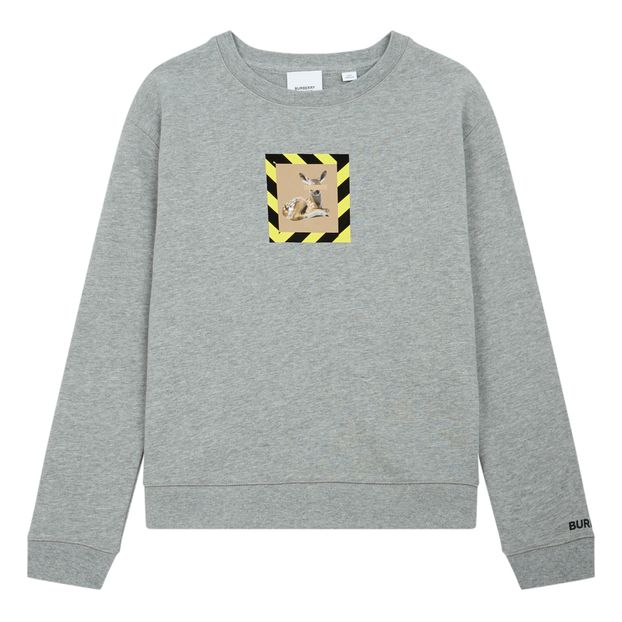 Sudadera Elbrook-product
