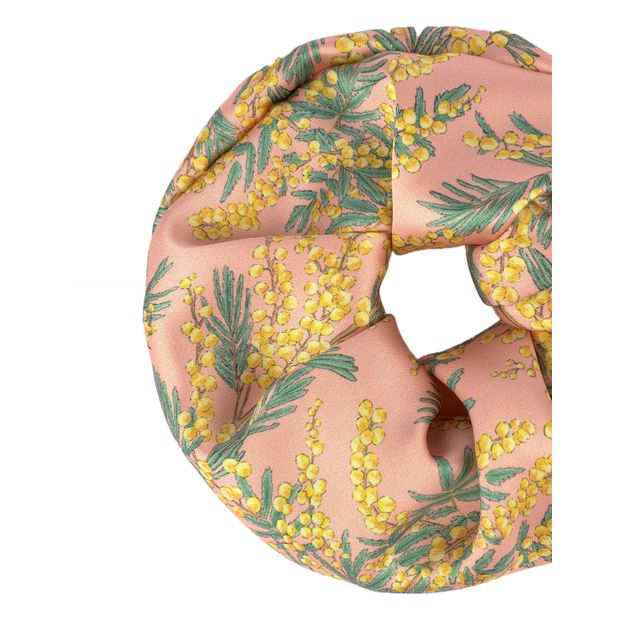 Chouchou Mimosa-product