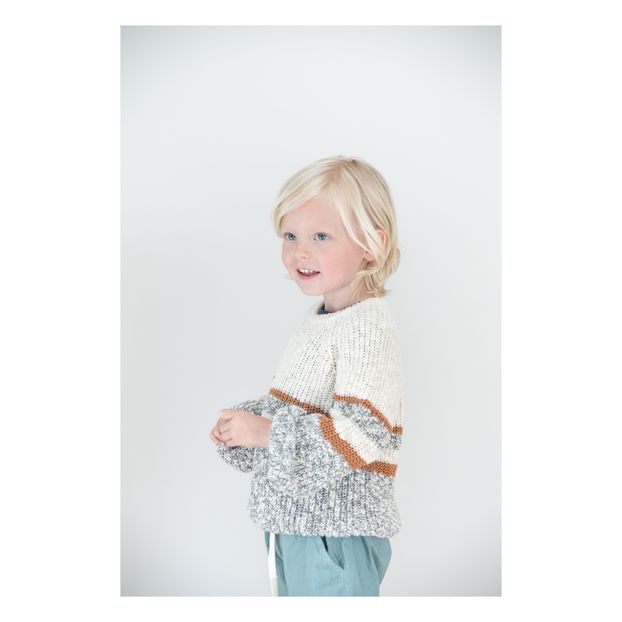 Pull Coton Maxime-product