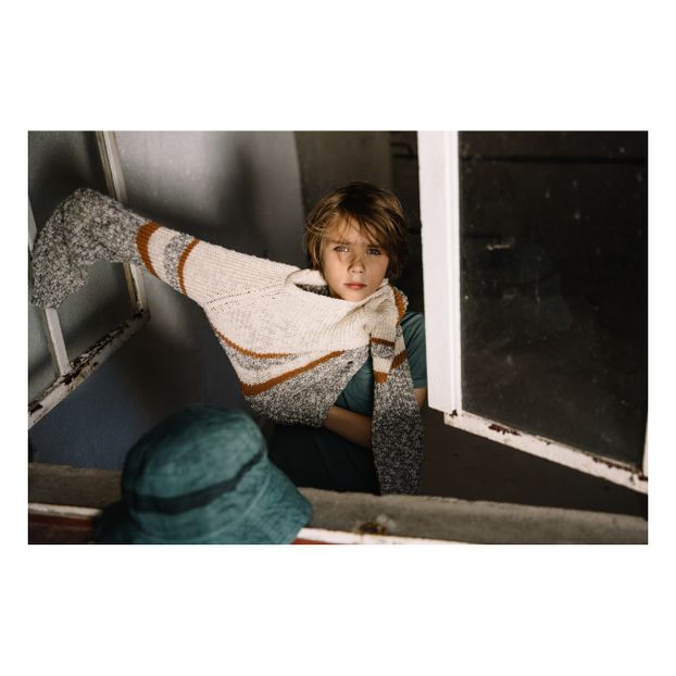 Pull Coton Maxime-product