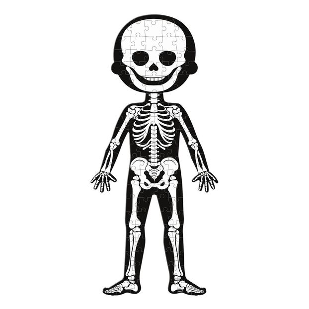 Human Body Educational Puzzle - Set of 3-product