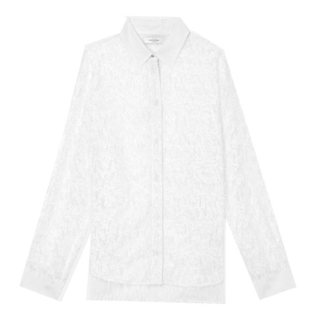 Camisa Dolton Plumette-product
