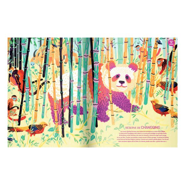 Jungles Album - M. Navarro & M. Cassany-product