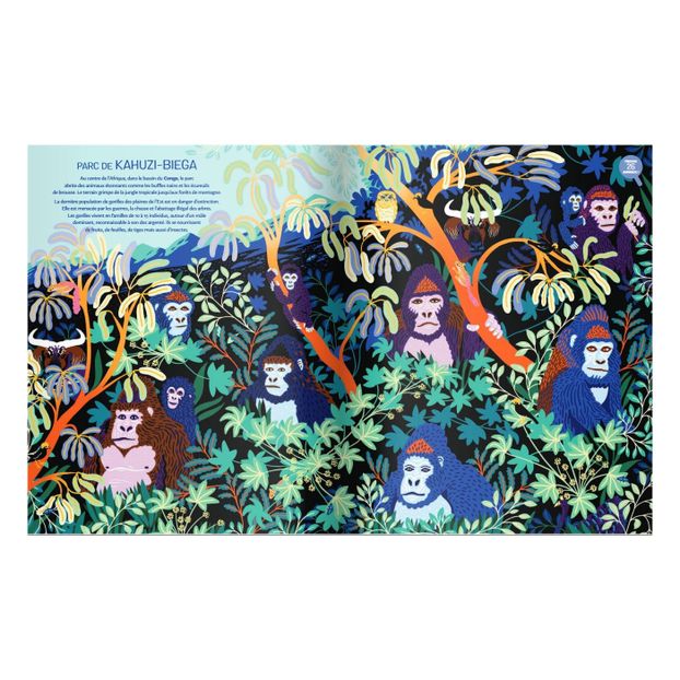 Jungles Album - M. Navarro & M. Cassany-product